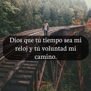 Meet your Posher, Eliseo